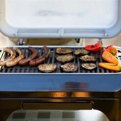 Campingaz - Attitude 2GO Black BBQ 9 Campingaz - Attitude 2GO Black BBQ -Greeny Sales 10251777 ATTITUDE 2go BLACK 6