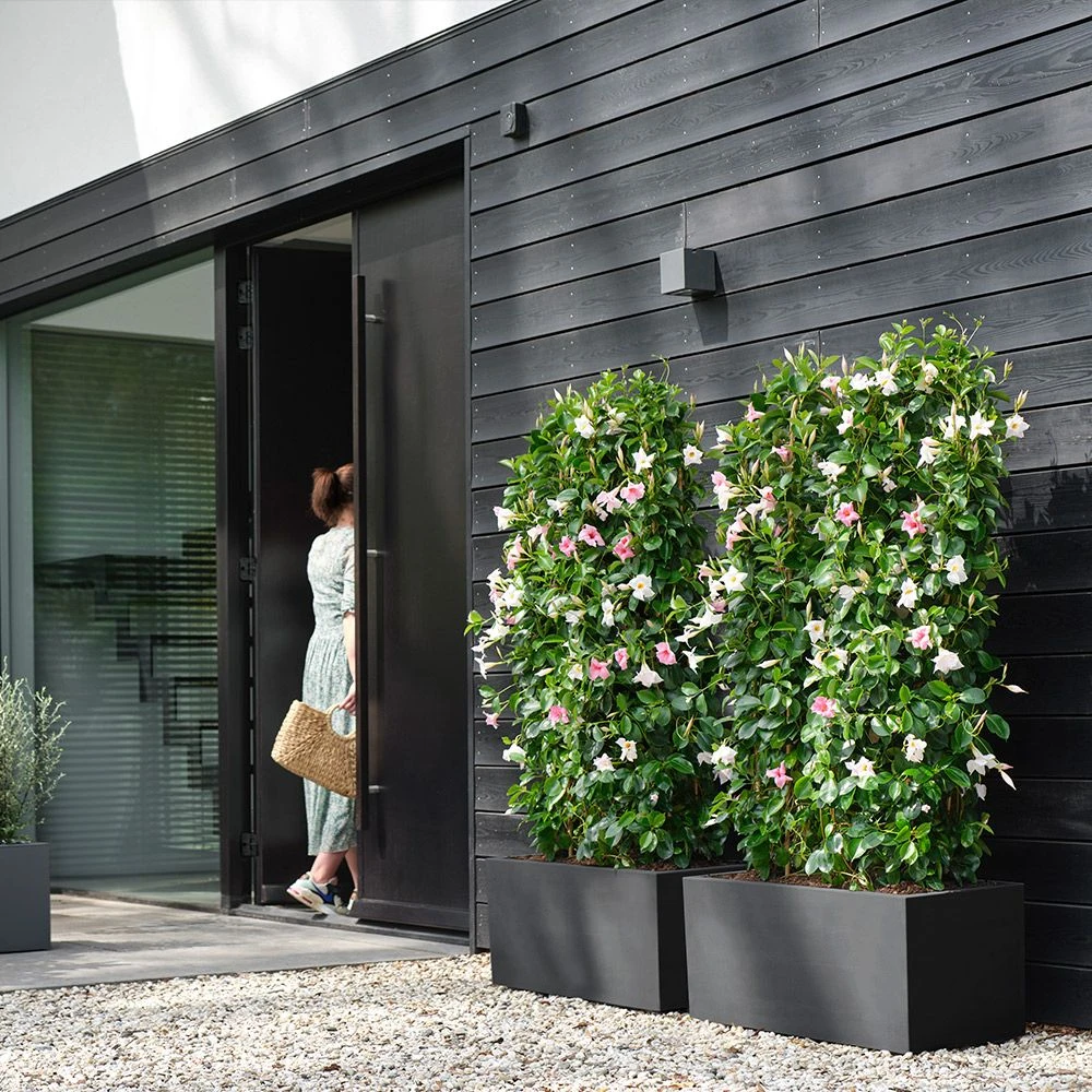 Vivo Next Long Trough - Living Black 80cm 1 Vivo Next Long Trough - Living Black 80cm