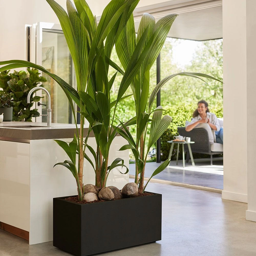 Vivo Next Long Trough - Living Black 80cm 2 Vivo Next Long Trough - Living Black 80cm - Image 2