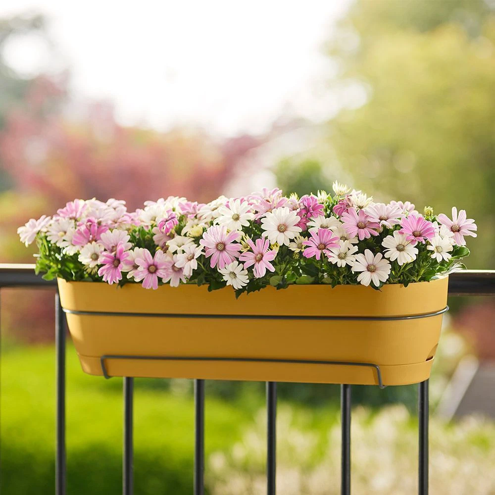 Elho Vibia Campana All In 1 Trough - Honey Yellow 50cm 2 Elho Vibia Campana All In 1 Trough - Honey Yellow 50cm - Image 2