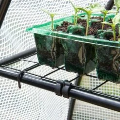 Gro-Sure Visiroot 12 Tray Growhouse -Greeny Sales 10276854 Gro surevisiroot12traygrowhouse westland 70200505 0080 a lifestyle