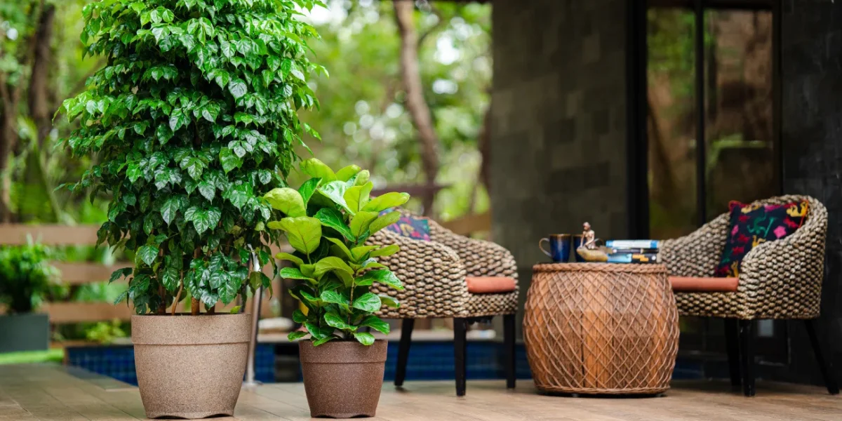 Front Page 27 Front Page -Greeny Sales pots for planting banner